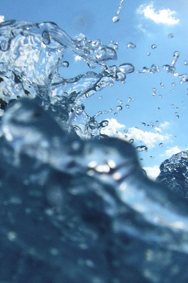 Aquatic